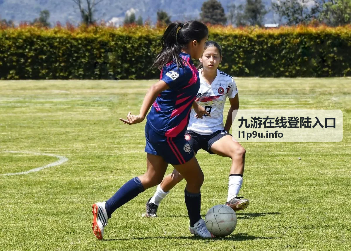 九游在线登陆入口账号安全设置界面